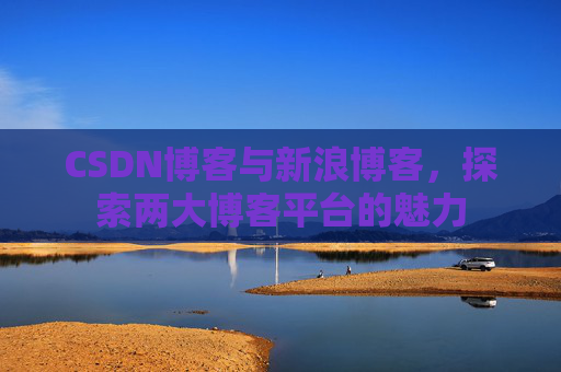 CSDN博客与新浪博客,探索两大博客平台的魅力